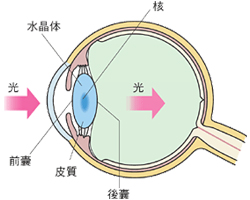 レンズについて(1)
